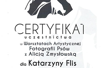 Katarzyna Flis - certyfikat
