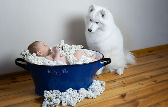 ilustracja do artykułu - Pies i niemowlę. Jak dbać o pozytywną relację dziecko-pies od samego początku?